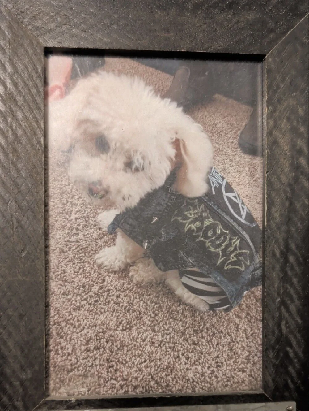 Custom Anthrax Patch Studded Black Denim Dog Vest